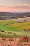 Butser Hill