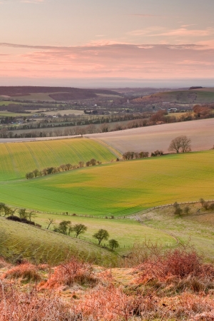 Butser Hill