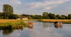 Chilbolton Common