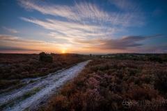 Longslade Bottom