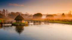 Longstock Eel Traps