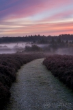 Mogshade Hill