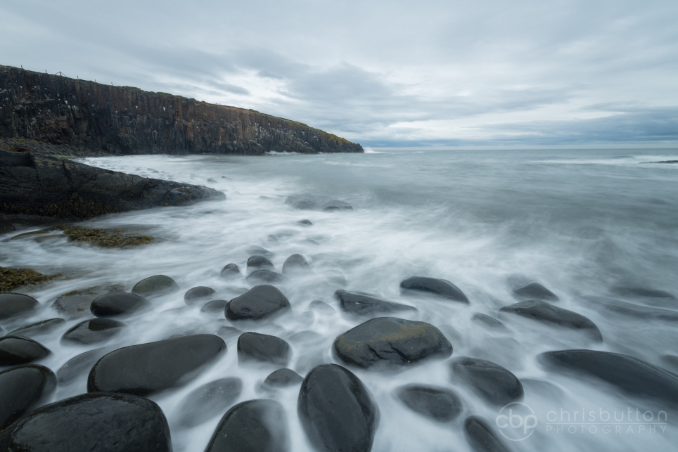 Cullernose
