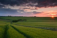 Cheesefoot Head