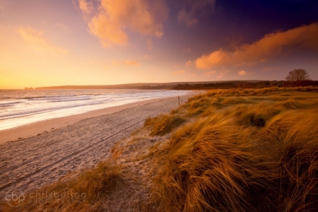 Studland