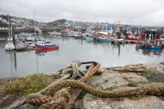 Newlyn