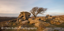 Holwell Tor