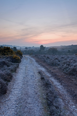 Down to the Plain